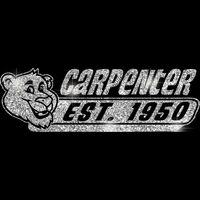 GLT102 SILVER GLITTER Thumbnail