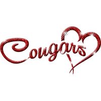 GLT6 RED GLITTER Thumbnail